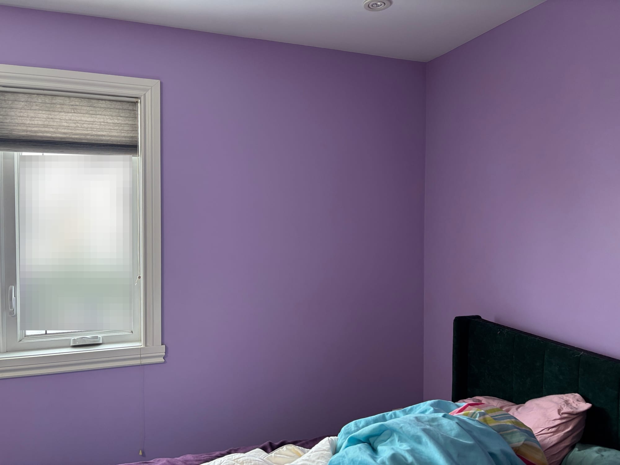 a corner of a room with painted purple walls, and a dark green velvet headboard on a messy bed