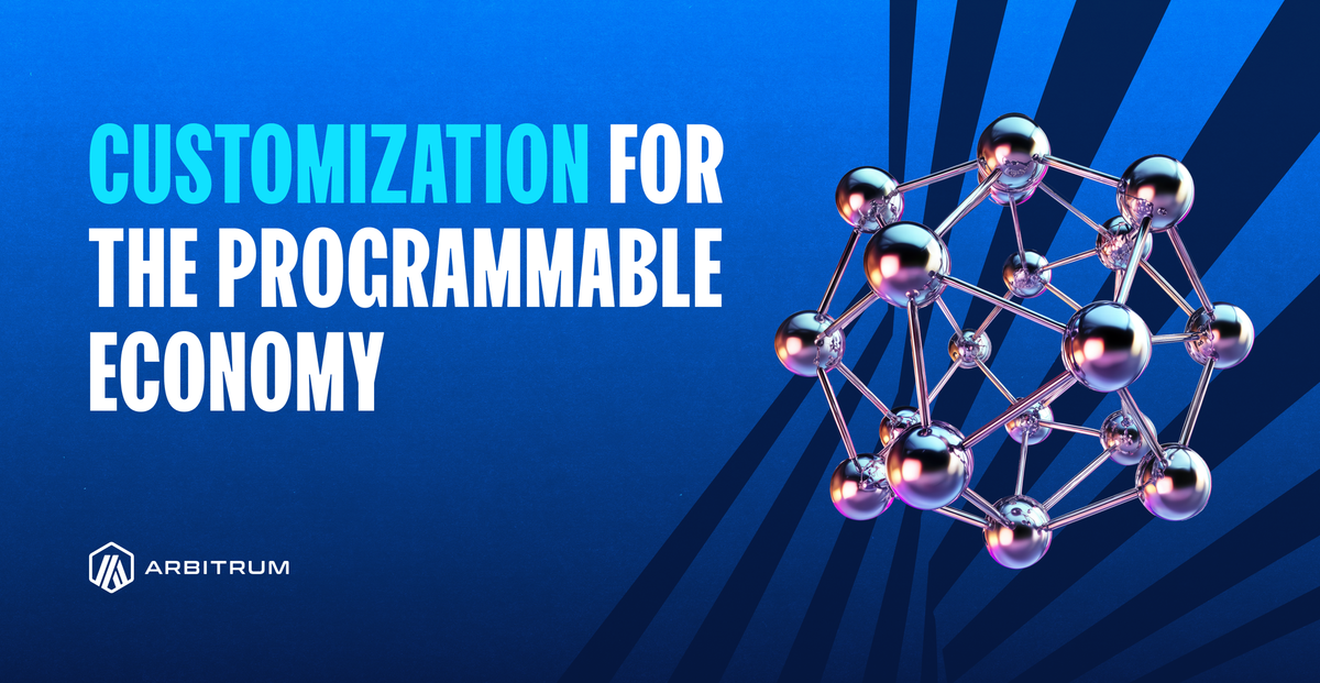 Customization for the Programmable Economy