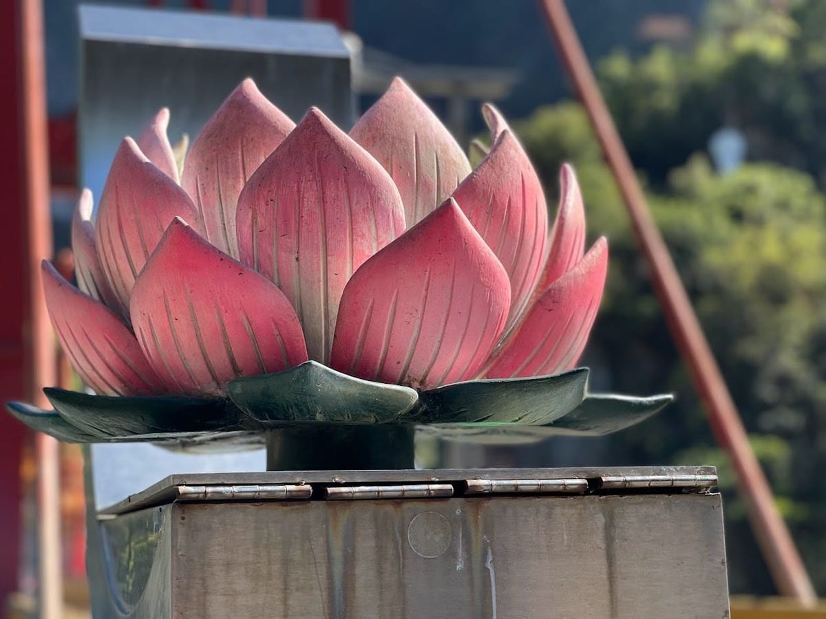 Every Life is Already Buddha - An Exploration