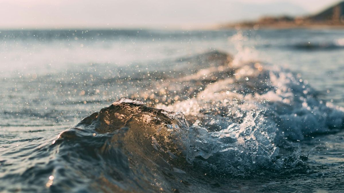 Uncovering the Tai Chi Master's secret: Moving Meditation out of body