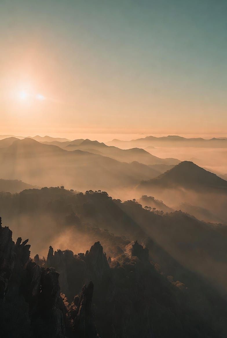 48 Wills — The Force of Heart and Intention