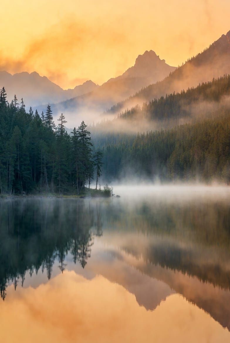 Tai Chi and Diamond Sutra — No-I Meditation