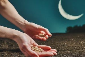 Lunar Gardening: Planting by the Moonlight-cover