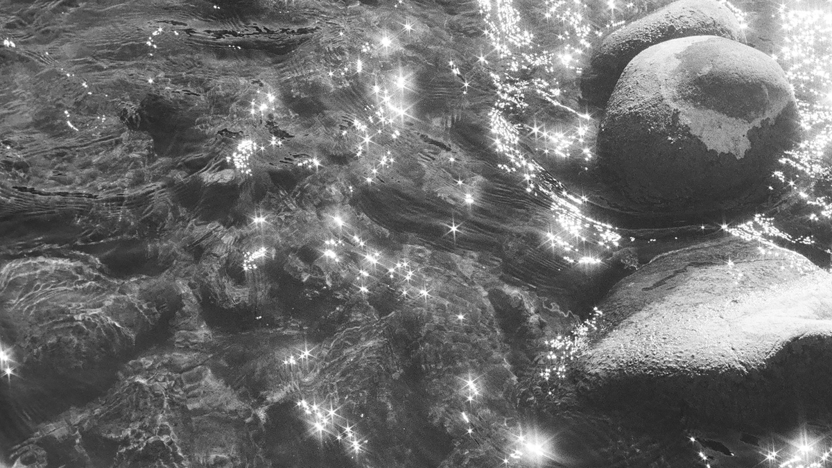 (Untitled)