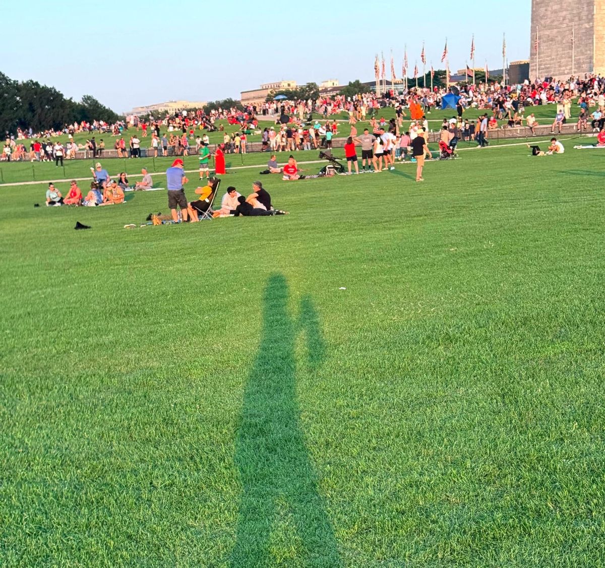 $ cat hello-world.txt