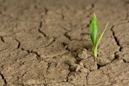 Hope in Dry Places