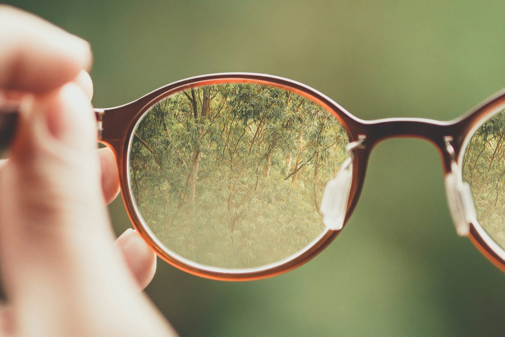 person holding brown eyeglasses with green trees background