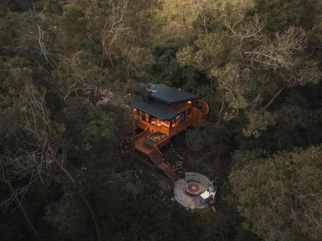 Sometimes You Want the Forest to Do All the Talking