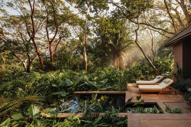 Mexico's Best Resort Is Hiding in the Jungle on Purpose