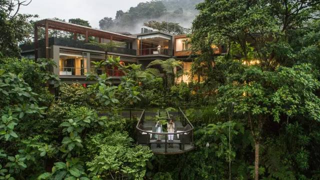 The Mashpi Lodge Built Its Brand Before It Built Its Rooms