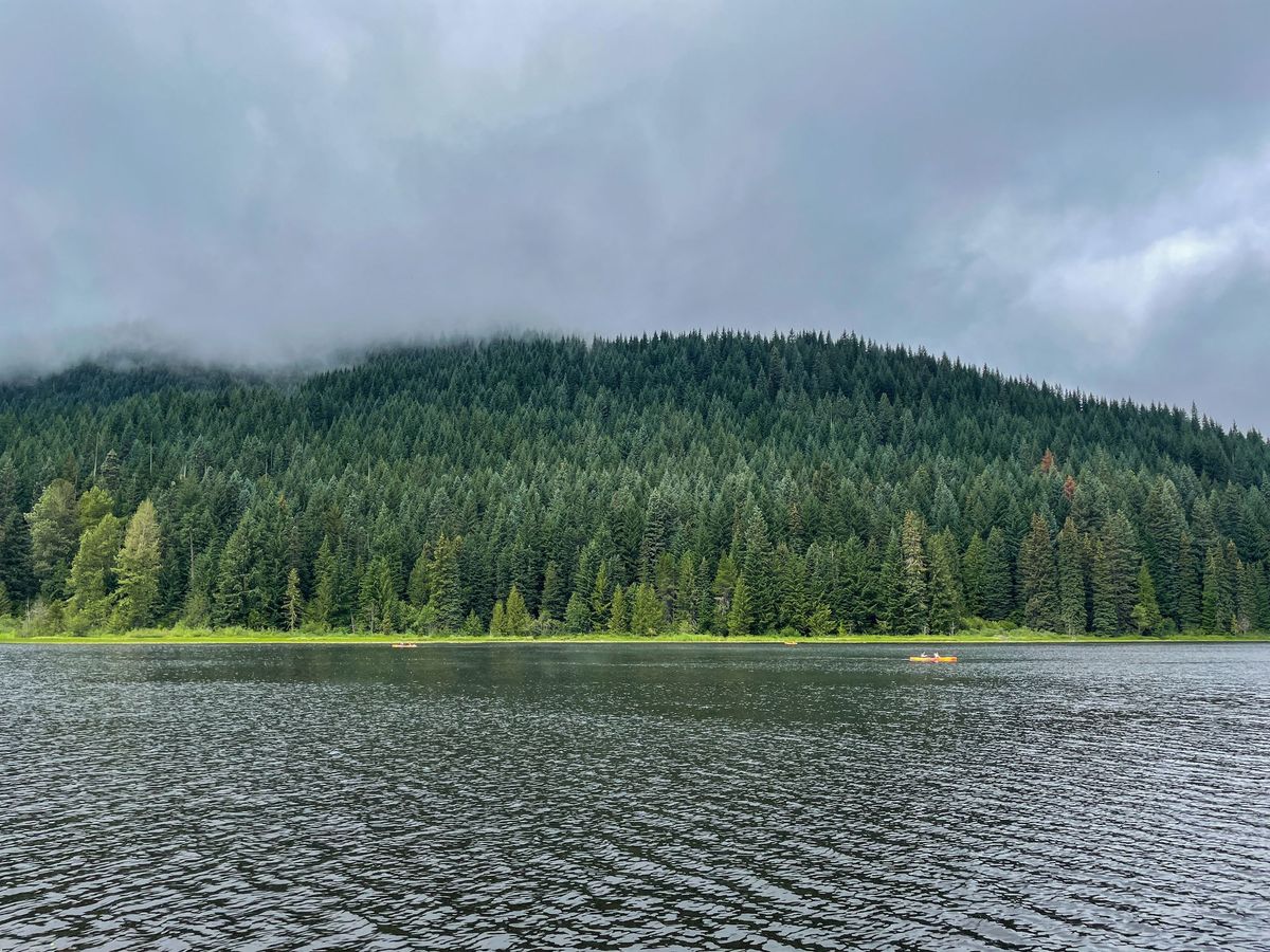 Reviewing 2023's first half