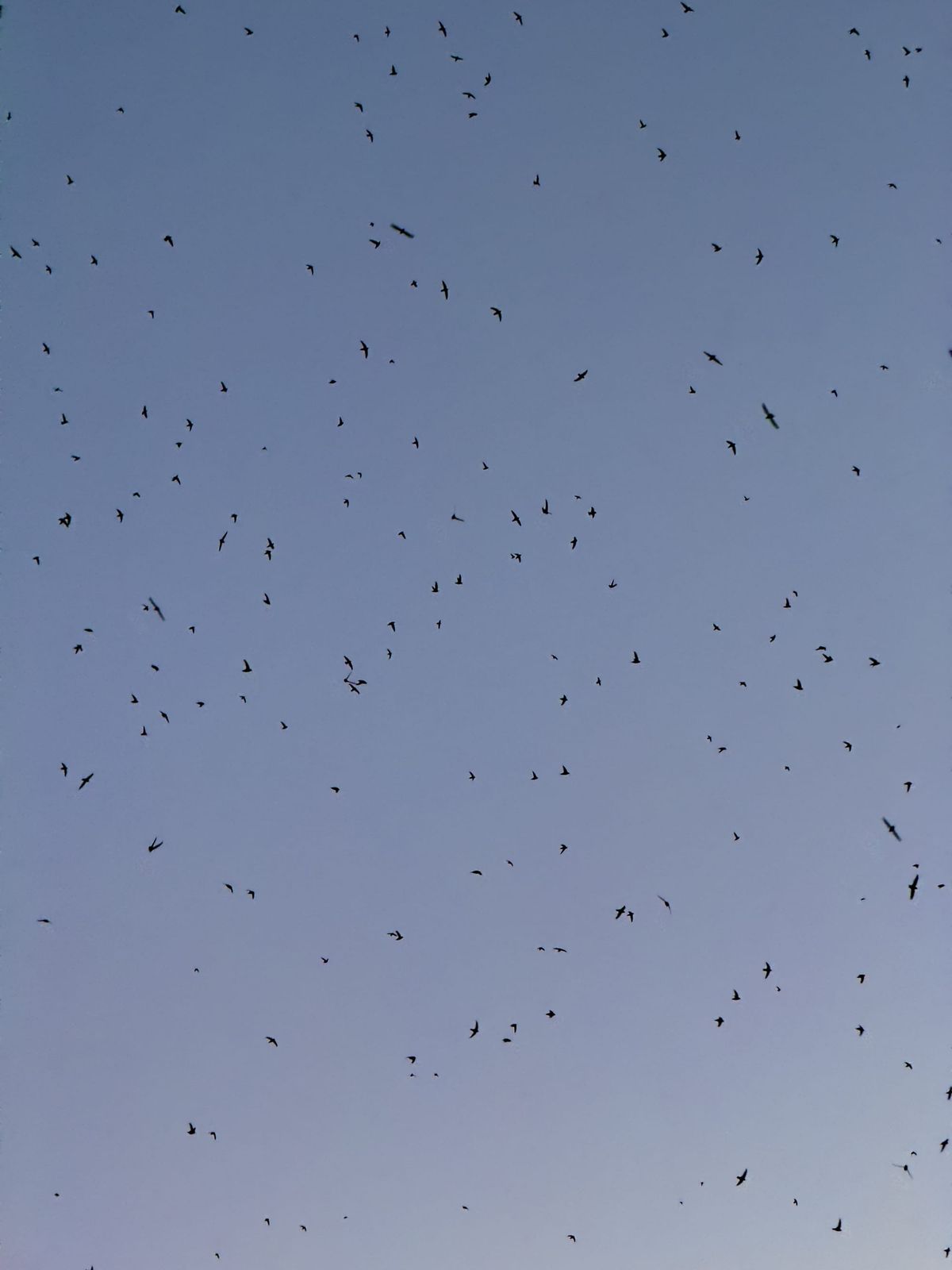 End of year review, 2024