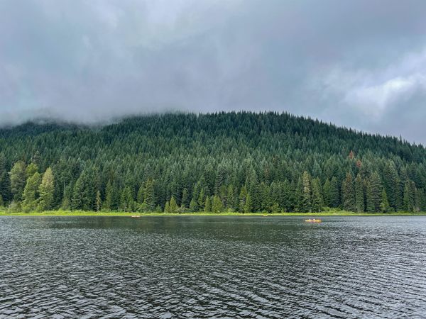 Reviewing 2023's first half