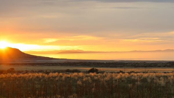 Hashing and Hash Tables