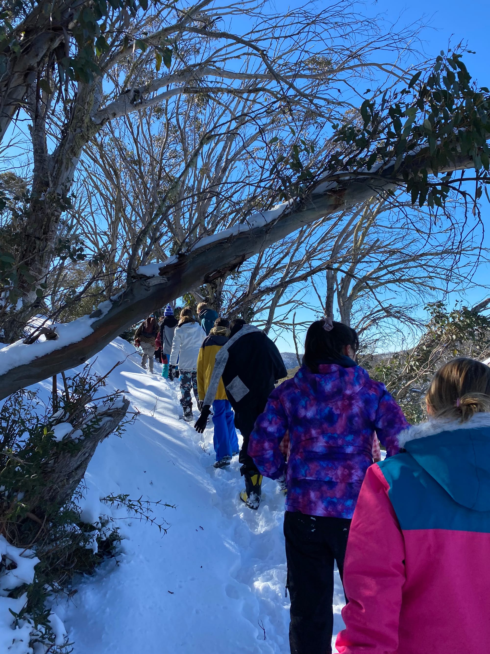 WHITE WALK: Class 7 & 8 take a trek at Mt Buller. 