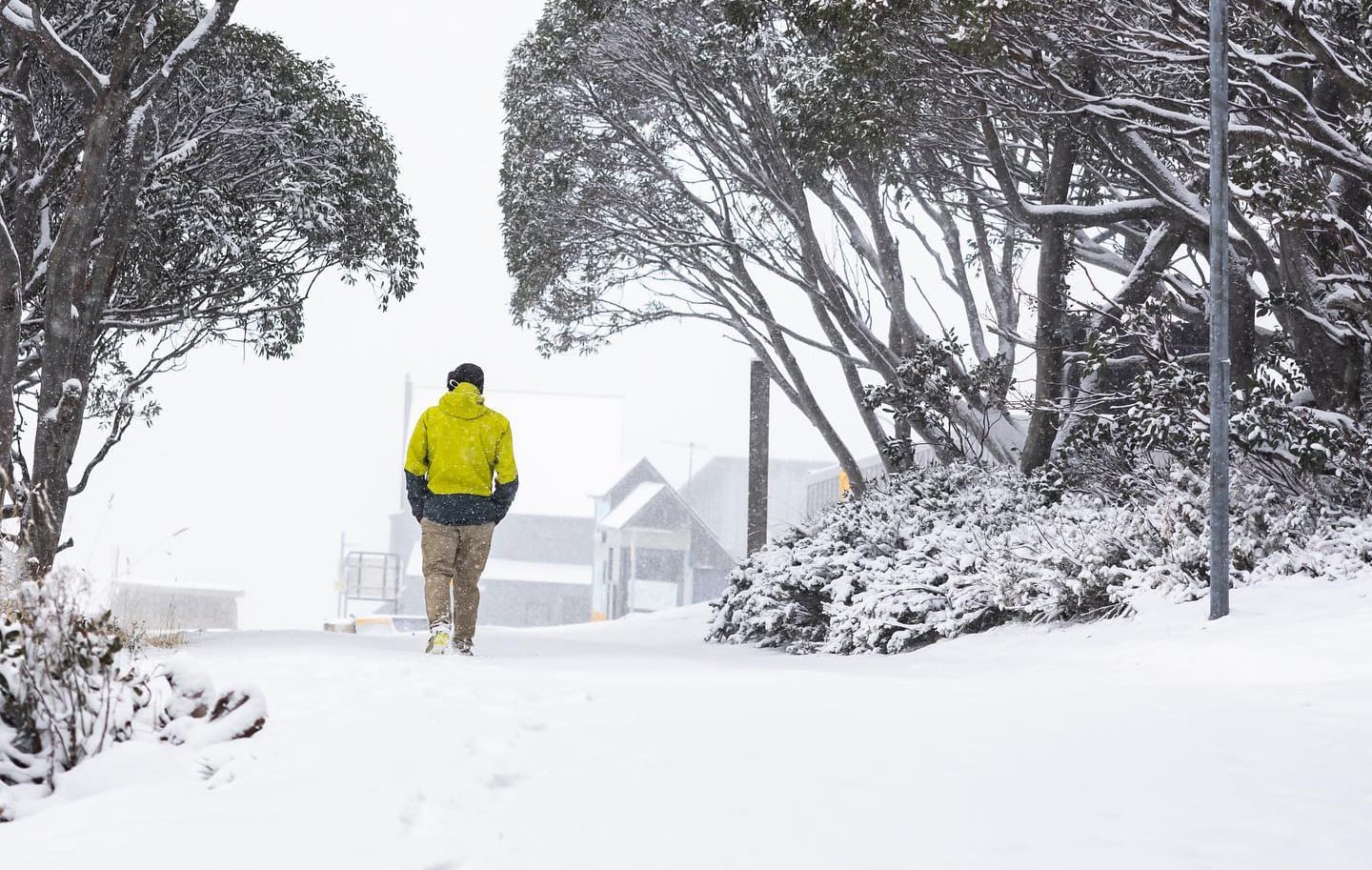 Walking through Hotham snow on Monday afternoon. Photo: Hotham Alpine Resort.
