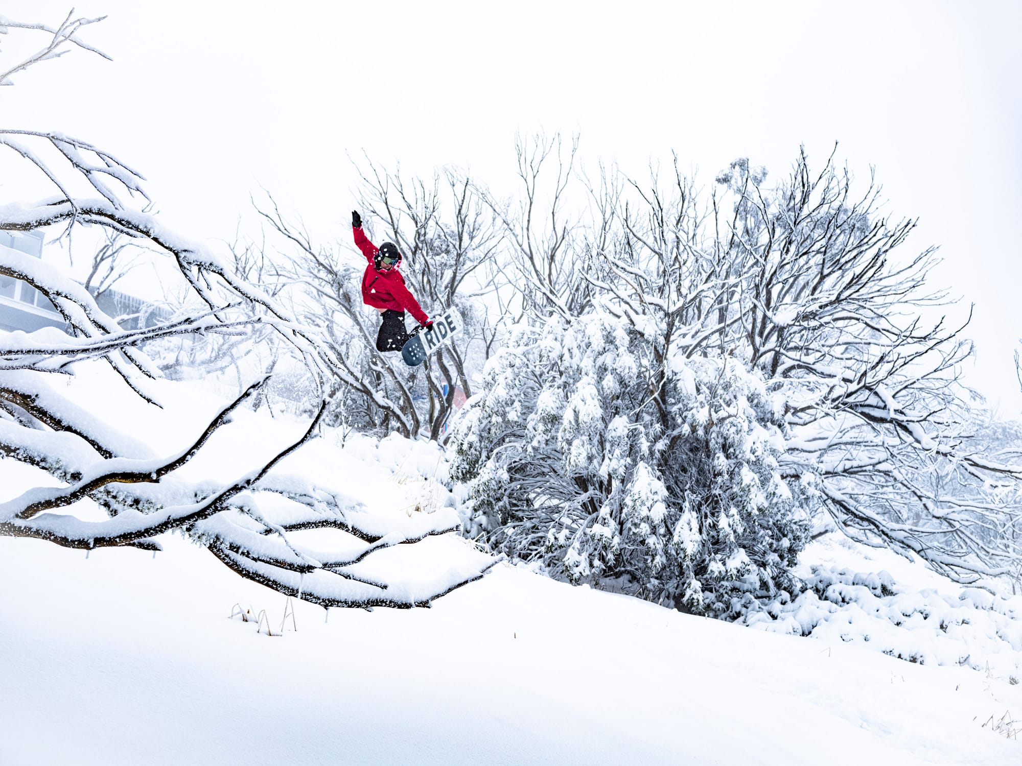 THROUGH THE TREES: Nothing is more exciting than boarding through the trees on fresh snow.