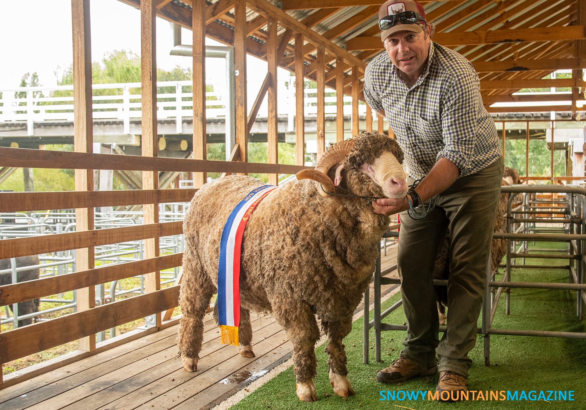 James Marron's ram won the Champion Fine Wool award.