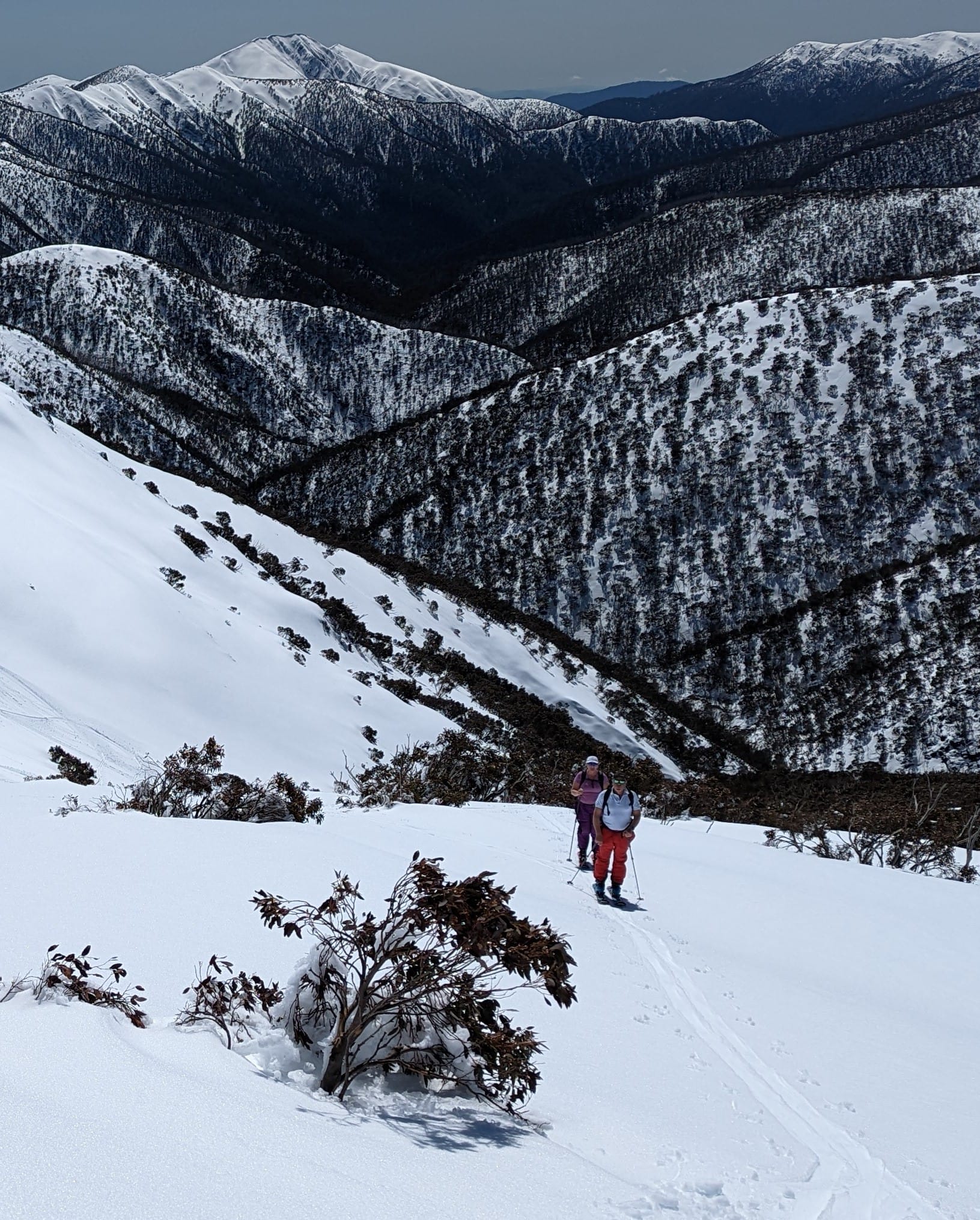 EFFORT: Skinning out of Pink Hamburg. PHOTO: Chris Epskamp (Powderhound.com)