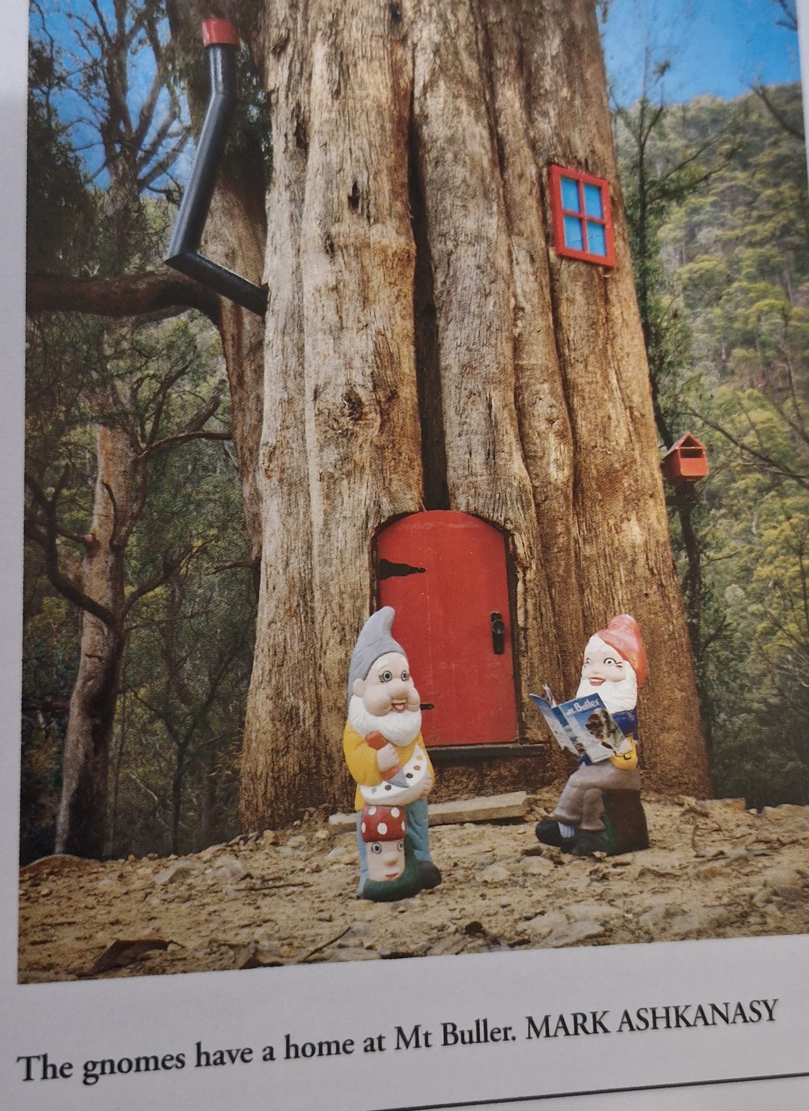 IN THE BEGINING: Back in 2003 there were only two gnomes who resided in the Gnome Treehouse - now there are dozens.