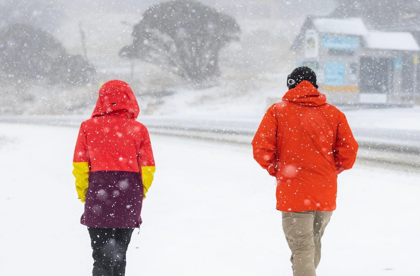 Walking through Hotham snow on Monday afternoon. Photo: Hotham Alpine Resort.