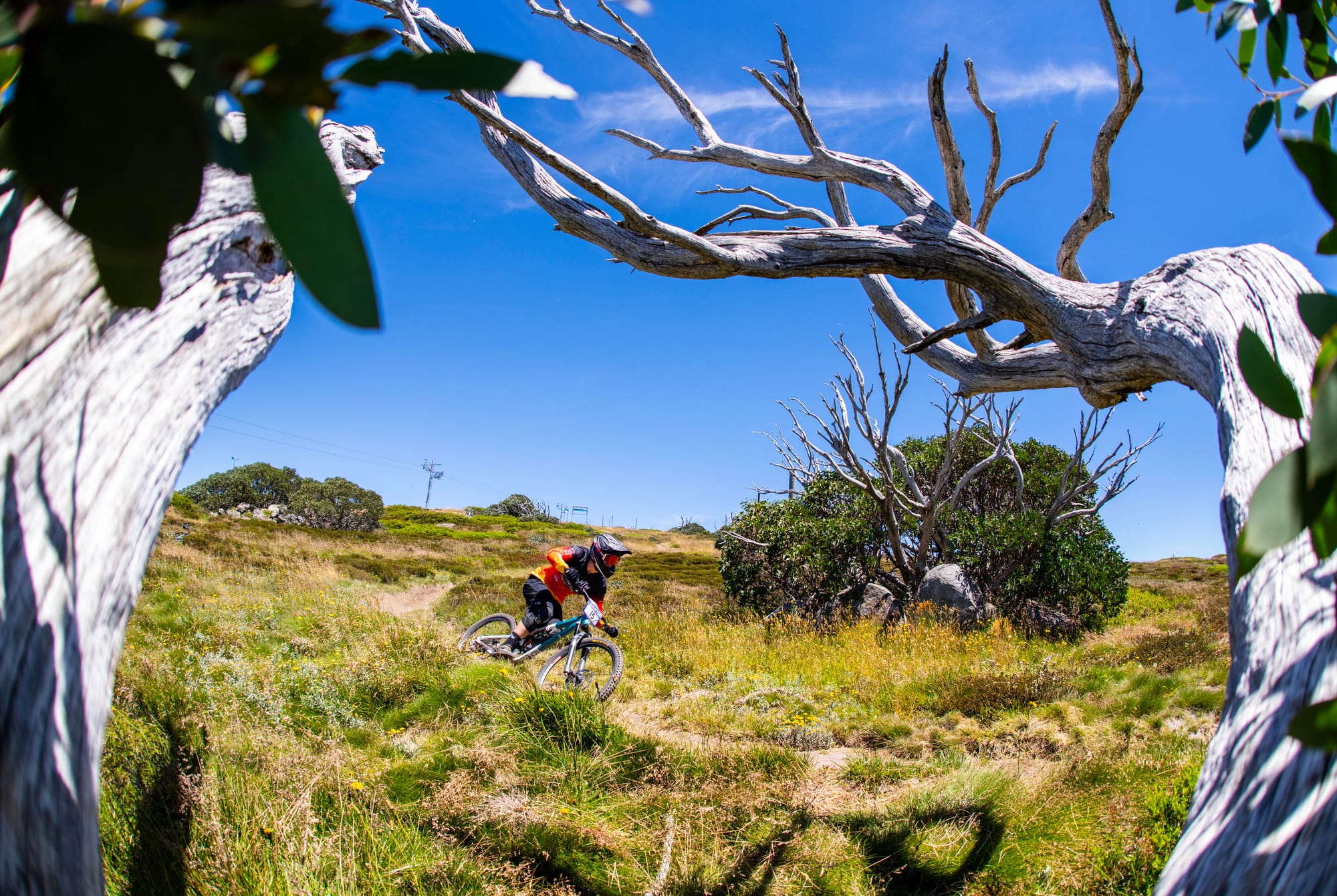 GET ACTIVE: There are plenty of trails to enjoy mountain biking.