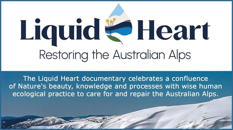 Jindabyne Movie - Liquid Heart - Restoring the Australian Alps Post feature image