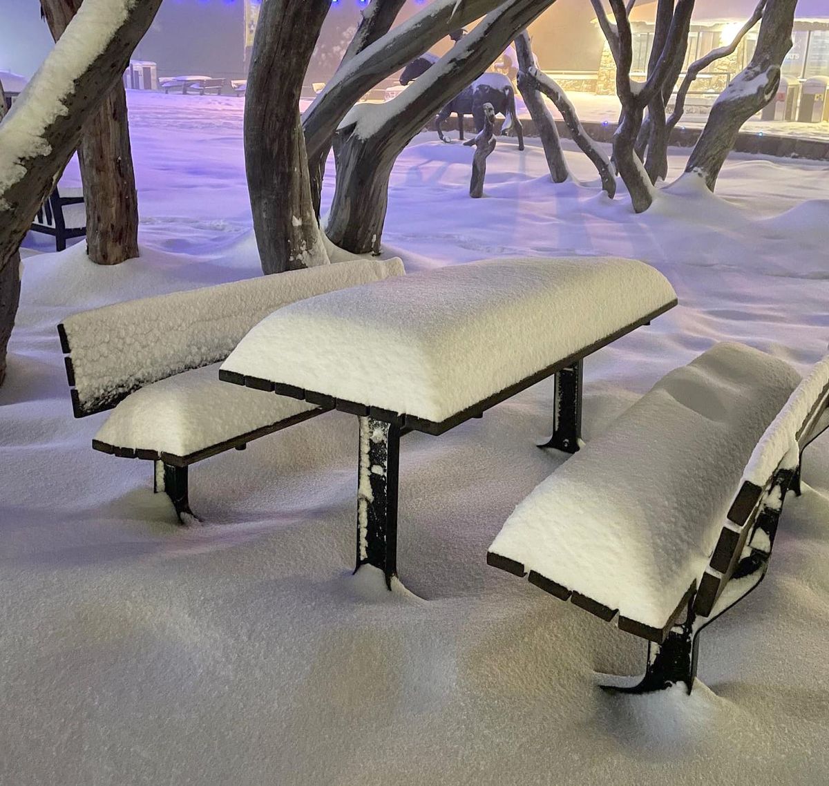 Mt Buller to open week early on Saturday 4 June Post feature image