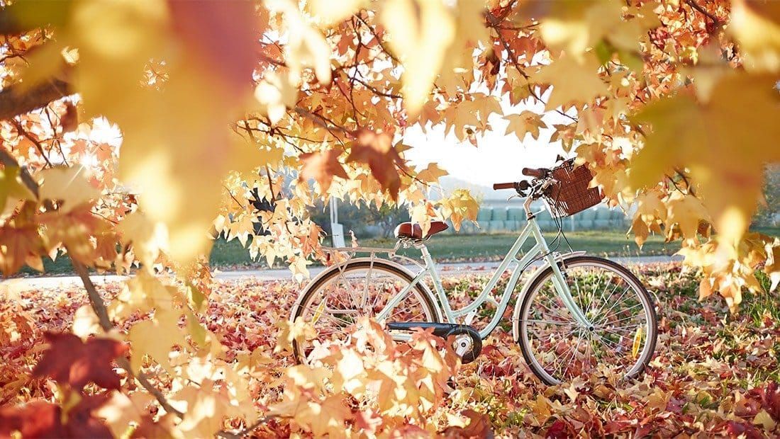 Make the most of Milawa Post feature image