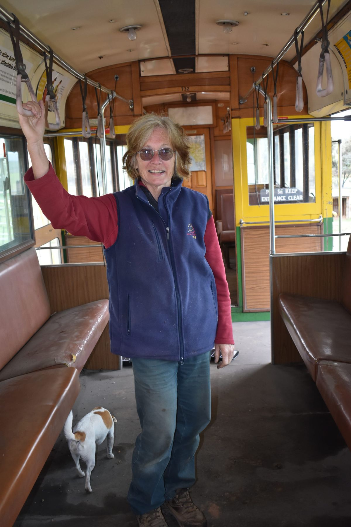 Mansfield’s Zoo animals anxious to see visitors again Post feature image