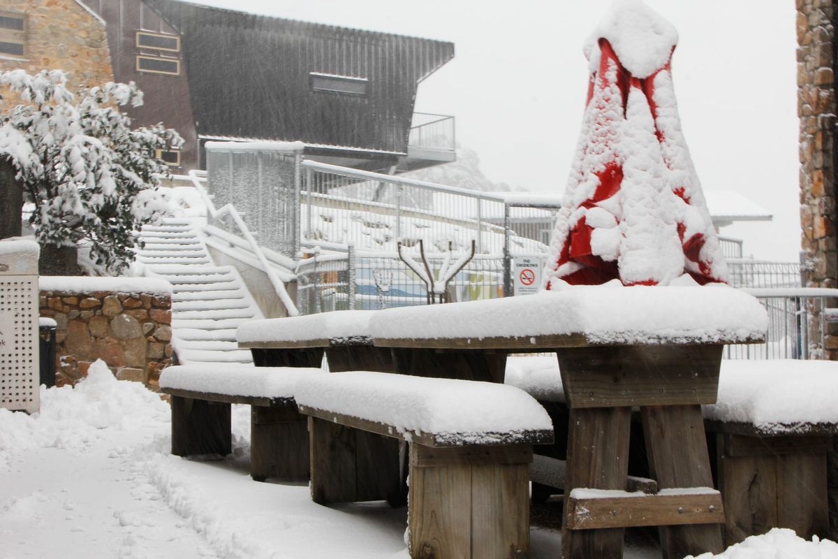 Falls Creek, Mt Hotham open Post feature image