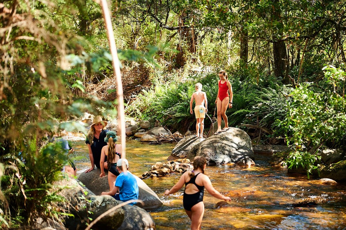 Mirimbah Precinct Masterplan opportunity for input Post feature image