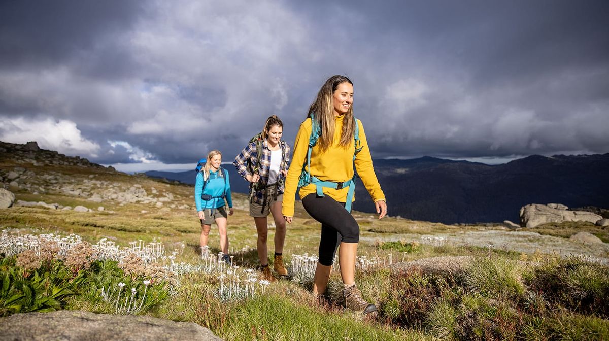 Thredbo Alpine Hiking Season Opening Weekend Post feature image
