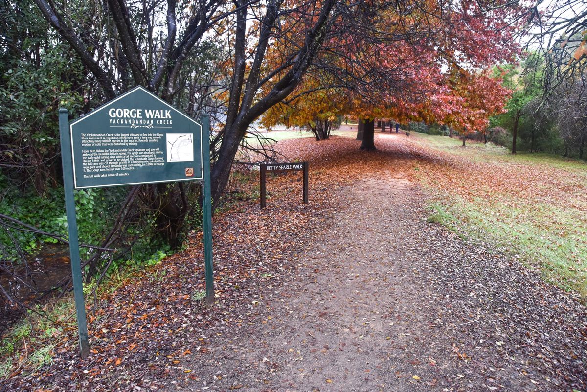 Down the track to Yack Post feature image