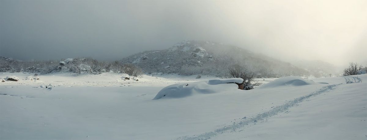 Snow play to be limited on Buffalo Post feature image