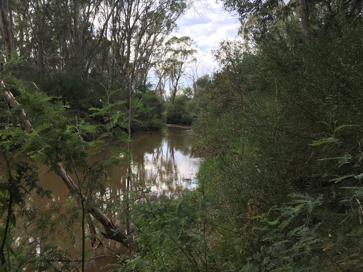 Lake Nillahcootie water to benefit Broken River wildlife Post feature image