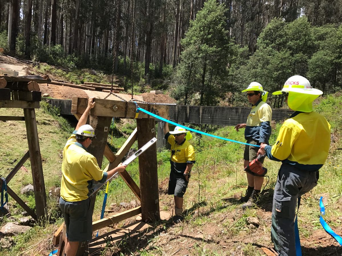 New forest walking tracks provide links to the past Post feature image