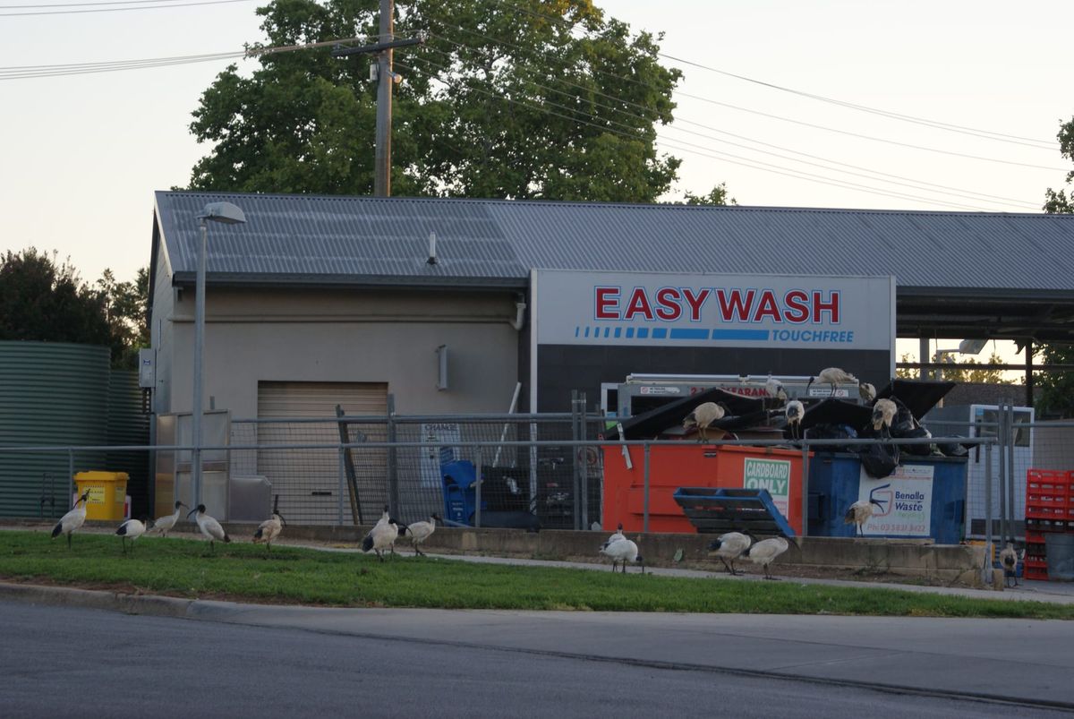 Relax in Mansfield Post feature image