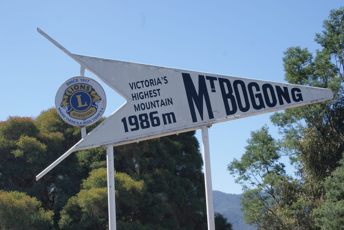 It's a beauty Post feature image