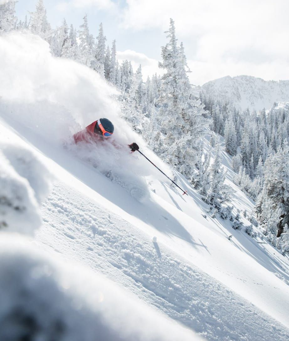 Utah Snowbird Post feature image