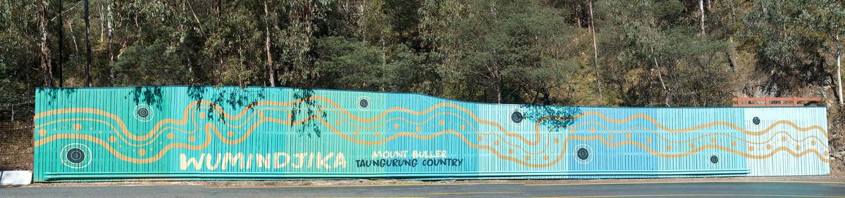 Whitebridge Mural - Mt Buller Post feature image