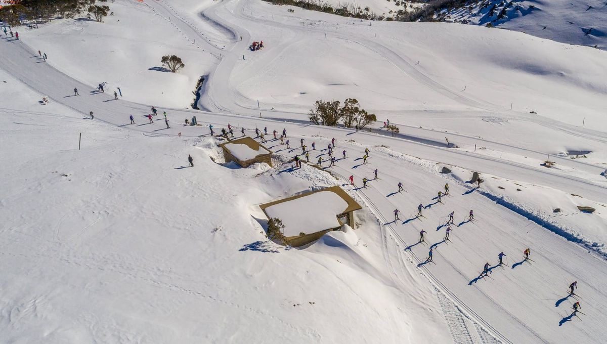 ARV wants more data on tourism project Post feature image