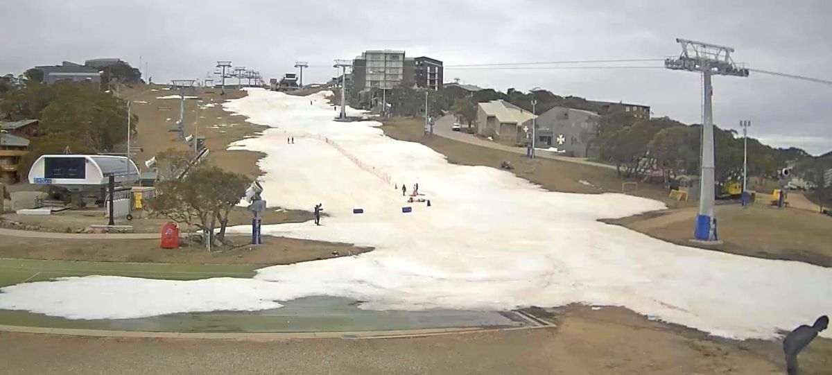 Visitors welcomed back to the mountain Post feature image