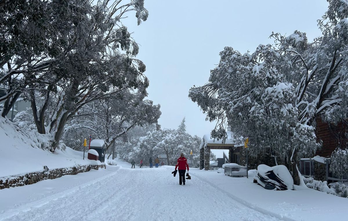 Festive fun, culinary delights get season off to great start at Falls Post feature image