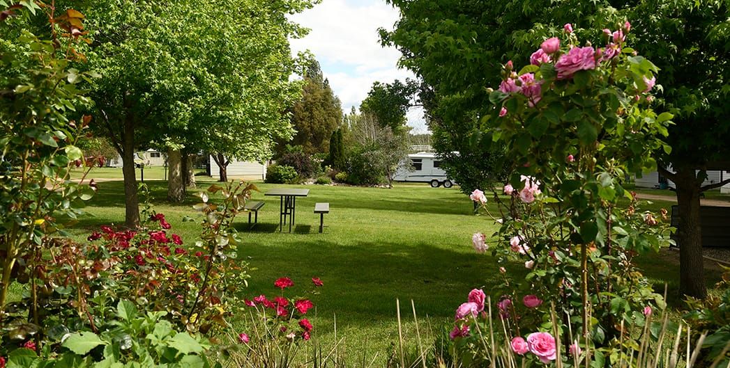 Snowy River Holiday Park Post feature image