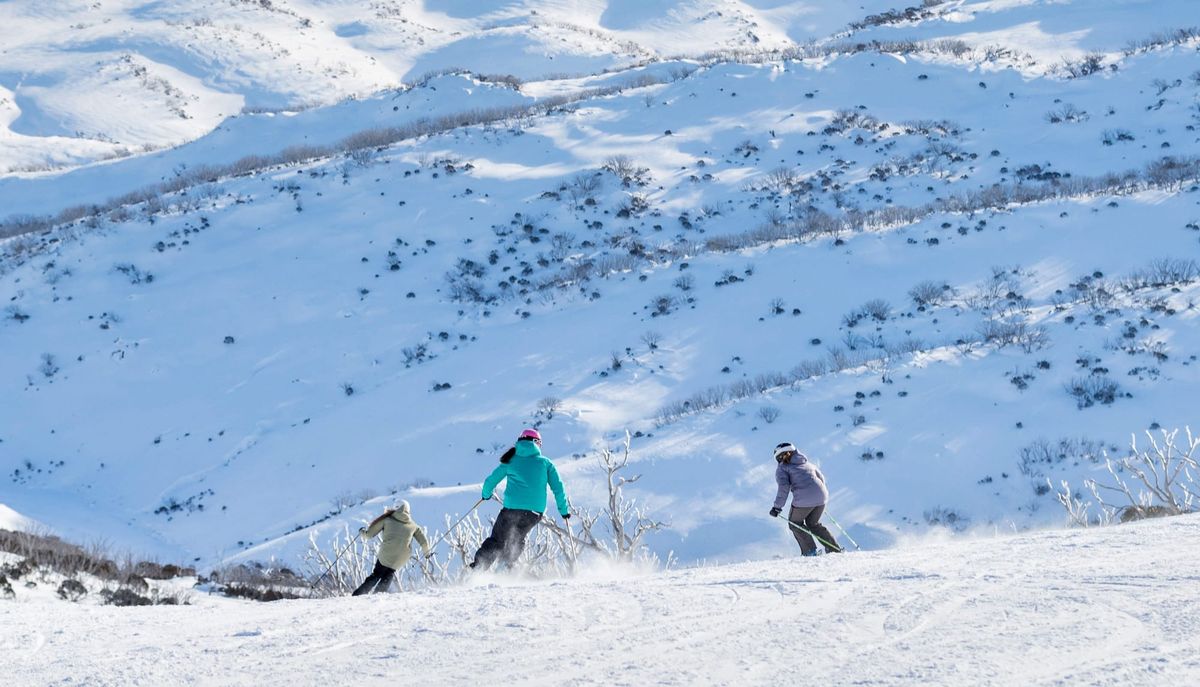 Perisher – Over 3000 Acres Of Great Snow Post feature image