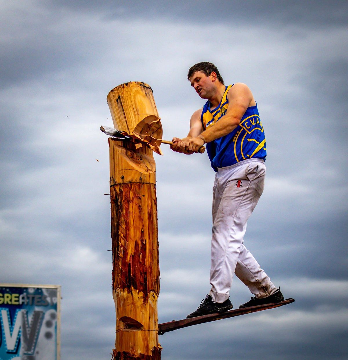 Logging ban stalls wood chop competition preparations Post feature image