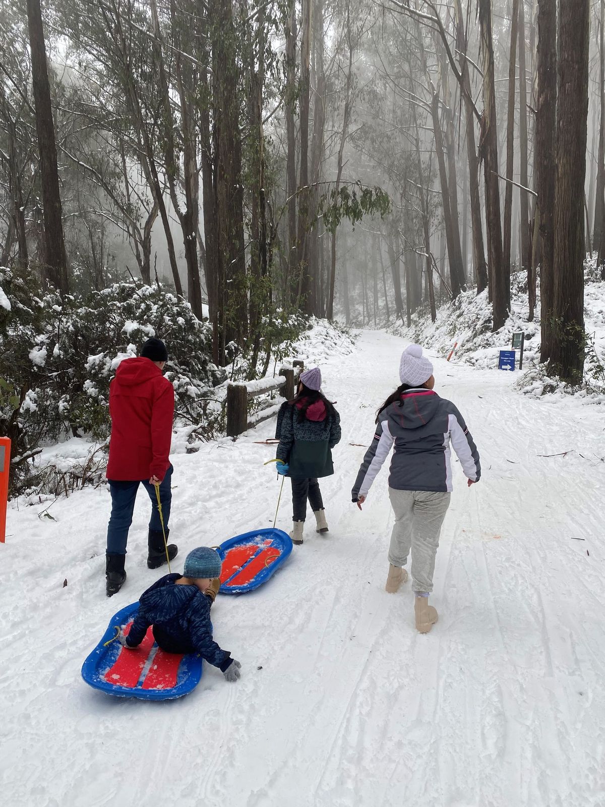Mt Stirling the place for snow play Post feature image