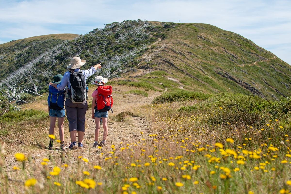 From skis to feet and bikes Post feature image