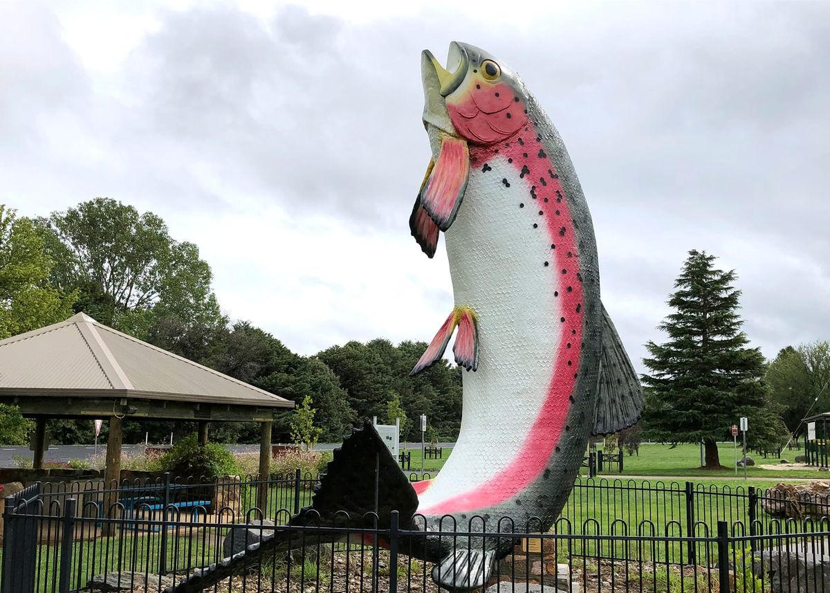 Adaminaby - Lake Eucumbene Post feature image